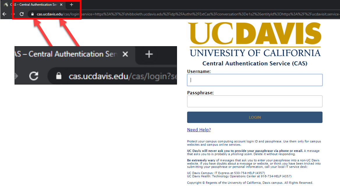 The CAS login screen emphasizing the correct URL.