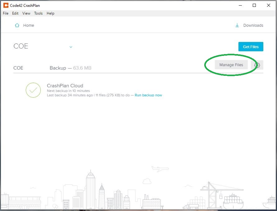 Manage Files button highlighted