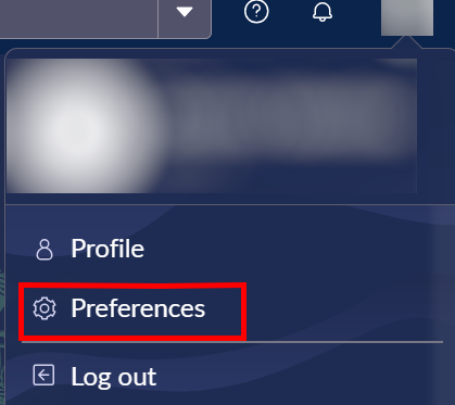Preferences tab is highlighted