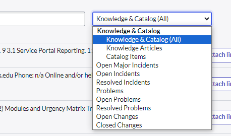 Image showing a drop-down menu from the related search results.