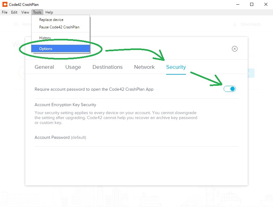 Tools menu, Options button, Security tab, 